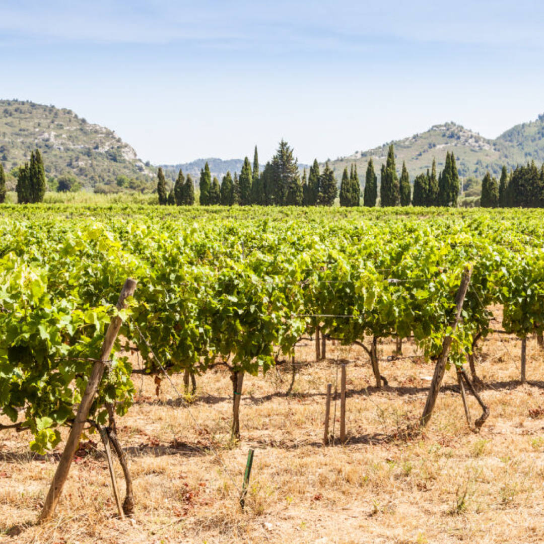 Coteaux d