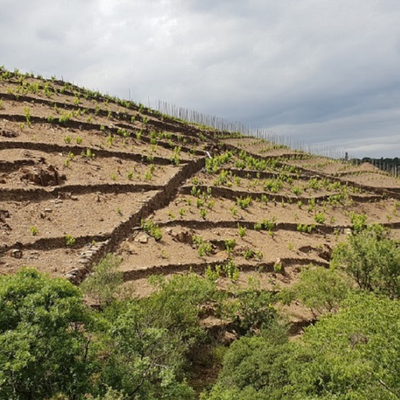 Banyuls hos Den Sidste Flaske