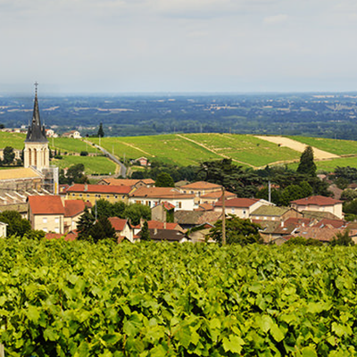 Beaujolais hos Den Sidste Flaske