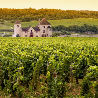 Bourgogne - Hvidvin hos Den Sidste Flaske