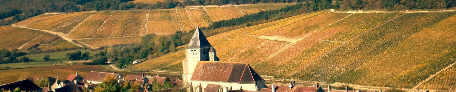 Domaine Paul Nicolle
