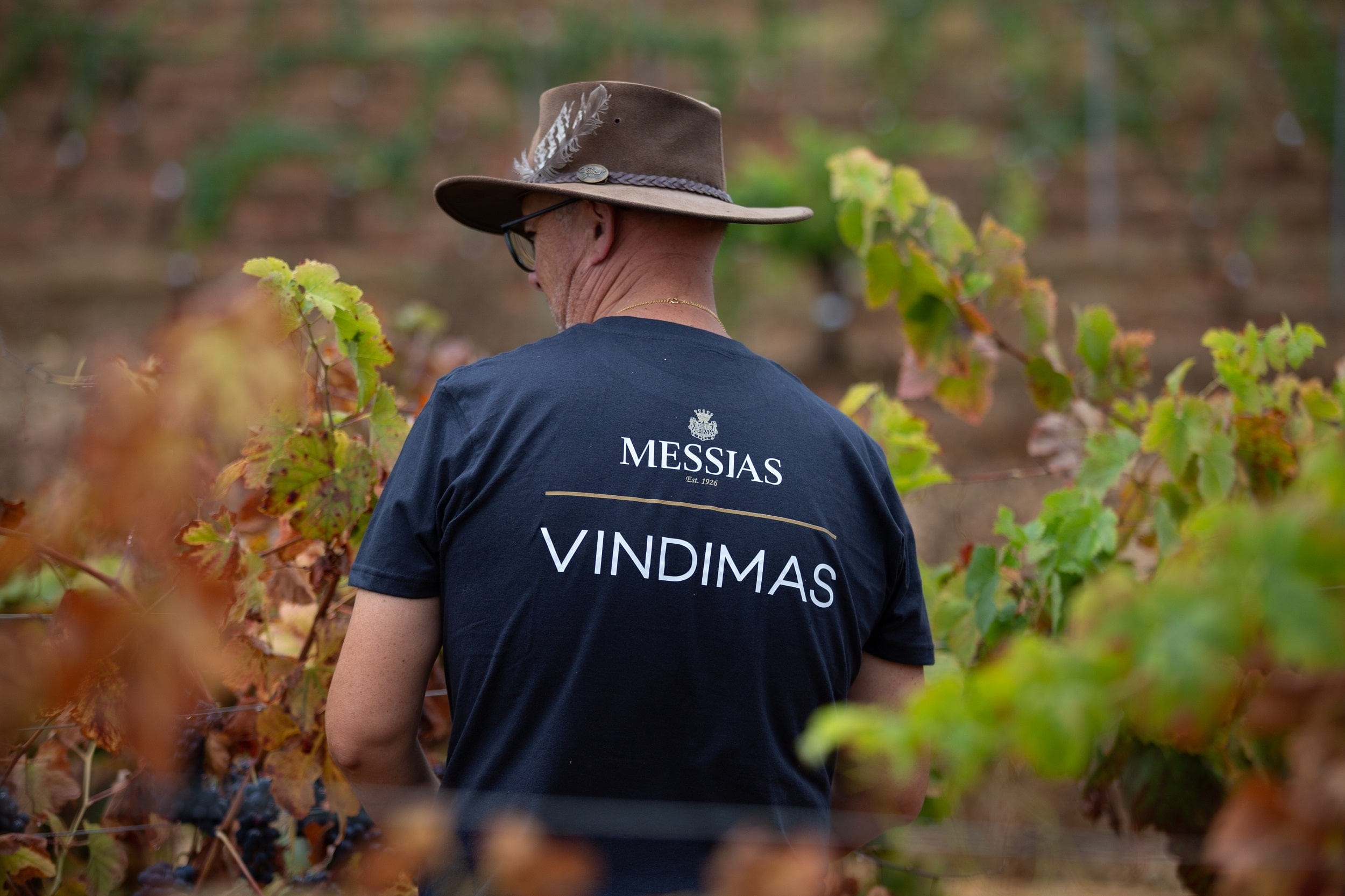 Messias vinmand