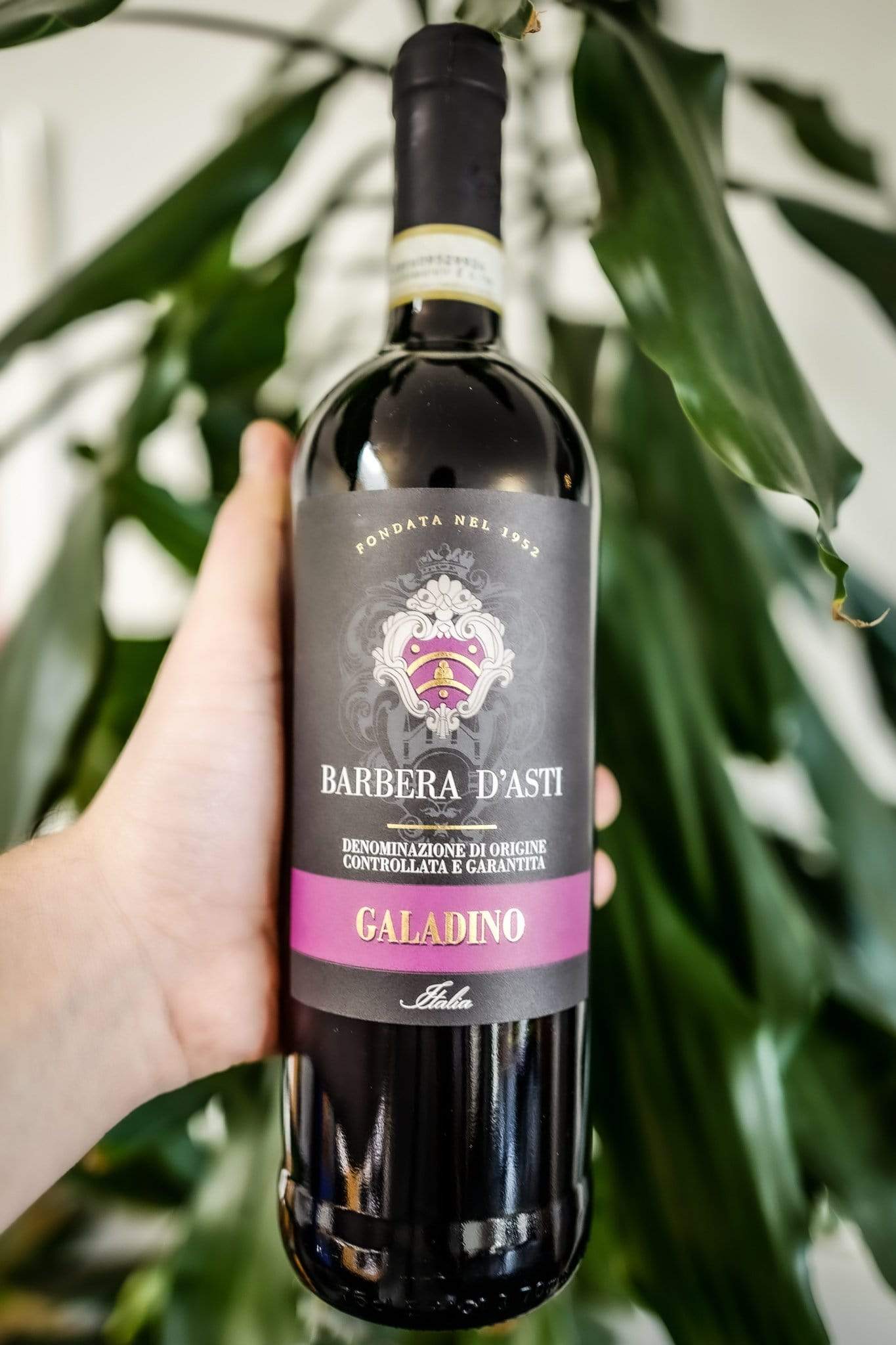 Galadino Barbera D'asti 2016
