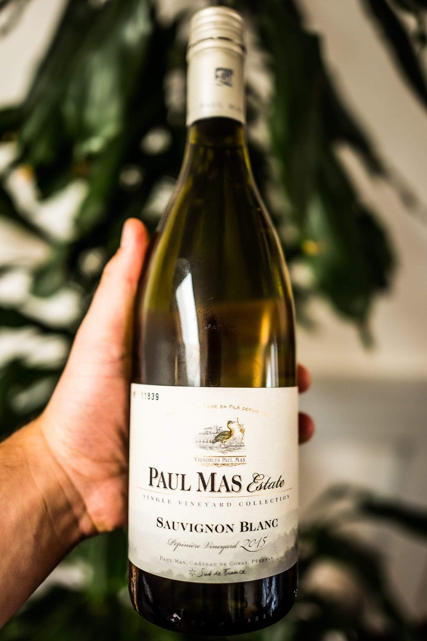 Poul Mas Hvidvin Paul Mas Estate Sauvignon Blanc 2015