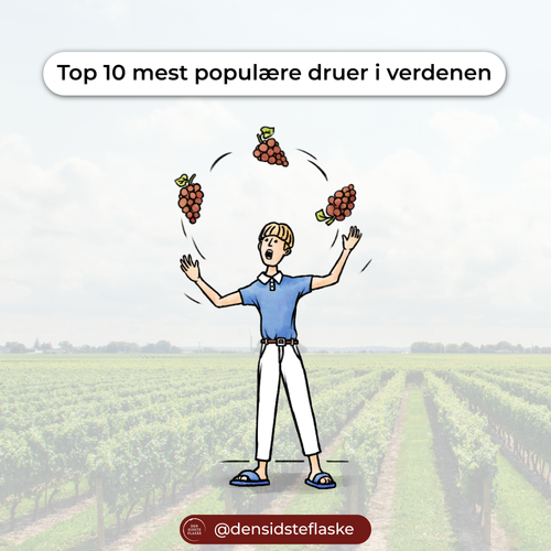 Top 10 mest populære druer i verdenen