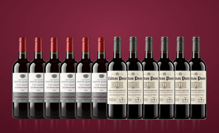 Den Sidste Flaske Rødvins Smagekasse 1+1 Saint-Émilion Grand Cru