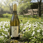 Menzatia Hvidvin 3Generazioni "Den Hvide Amarone" Passito Bianco Veronese IGT 2023