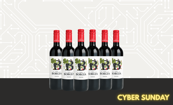 Den Sidste Flaske Rødvins Smagekasse 6 FL. Vina Borgia Tinto 2023