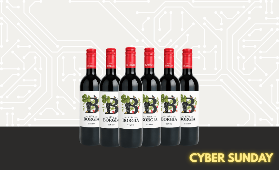 Den Sidste Flaske Rødvins Smagekasse 6 FL. Vina Borgia Tinto 2023