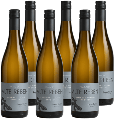 Weinhof 519 Alte Reben Rheingau Riesling Trocken 2025