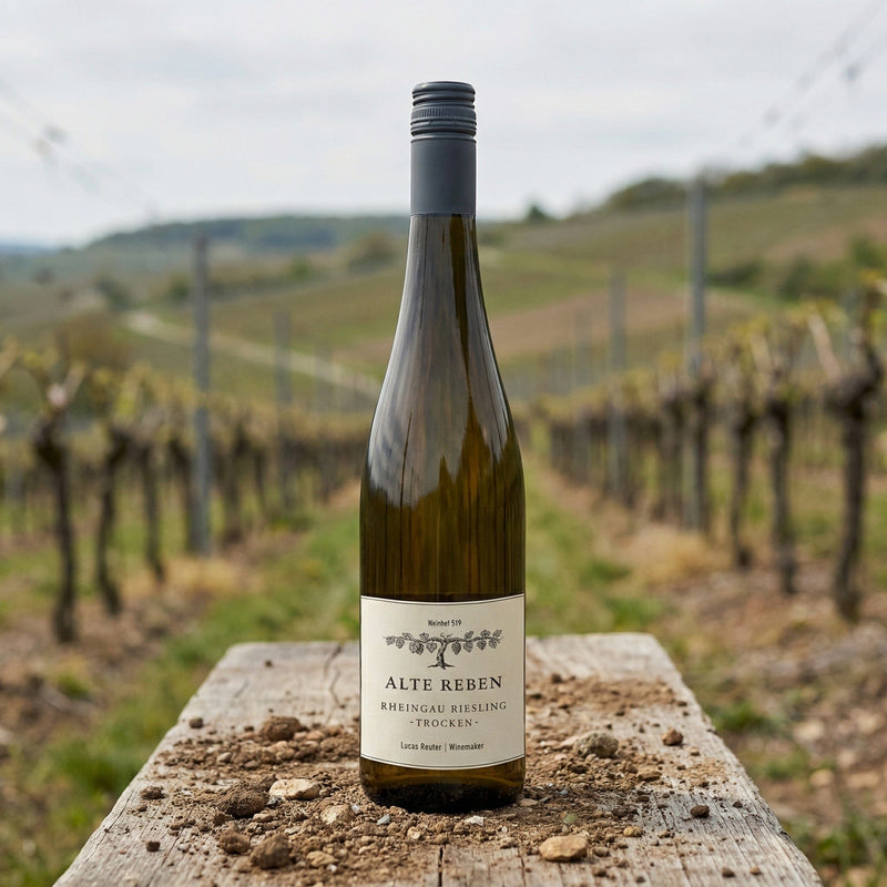 Weinhof 519 Hvidvin Alte Reben White Edition Riesling Weinhof 519