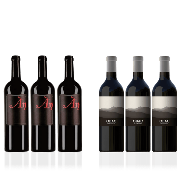 Den Sidste Flaske Rødvins Smagekasse AN vs. Binigrau (6 fl.)