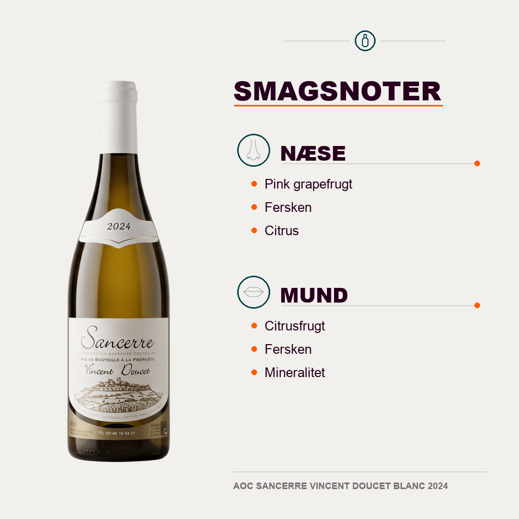 Vincent Doucet Hvidvin AOC SANCERRE VINCENT DOUCET BLANC 2024