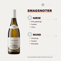 Vincent Doucet Hvidvin AOC SANCERRE VINCENT DOUCET BLANC 2024