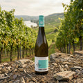 August Kesseler Hvidvin August Kesseler The Daily August Riesling 2024