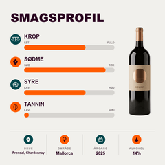 Binigrau Hvidvin Binigrau Nounat Magnum 1,5L 2025 Eco