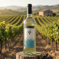 Boccantino Hvidvin Boccantino Catarratto Pinot Grigio 2025