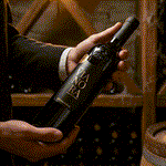 Boccantino Rødvin Boccantino Primitivo Vianora Salento IGP 2024