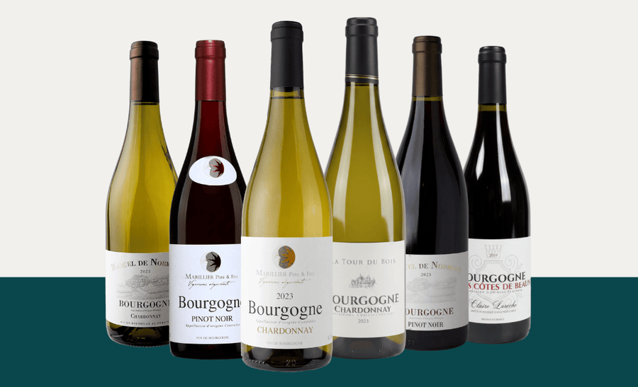 Den Sidste Flaske Mixed Smagekasse Bourgogne Kassen