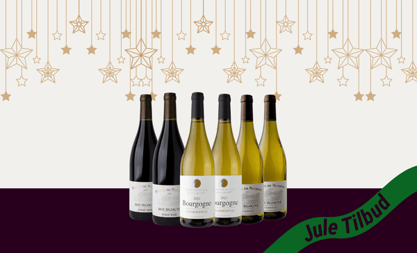 Den Sidste Flaske Mixed Smagekasse Bourgogne Kassen