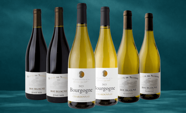 Den Sidste Flaske Mixed Smagekasse Bourgogne Kassen