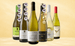 Den Sidste Flaske Hvidvins Smagekasse Chardonnay Favoritter