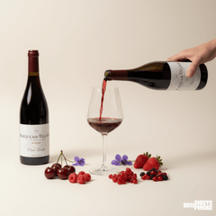 Claire Laroche rødvi Claire Laroche Gamay Beaujolais Village 2024