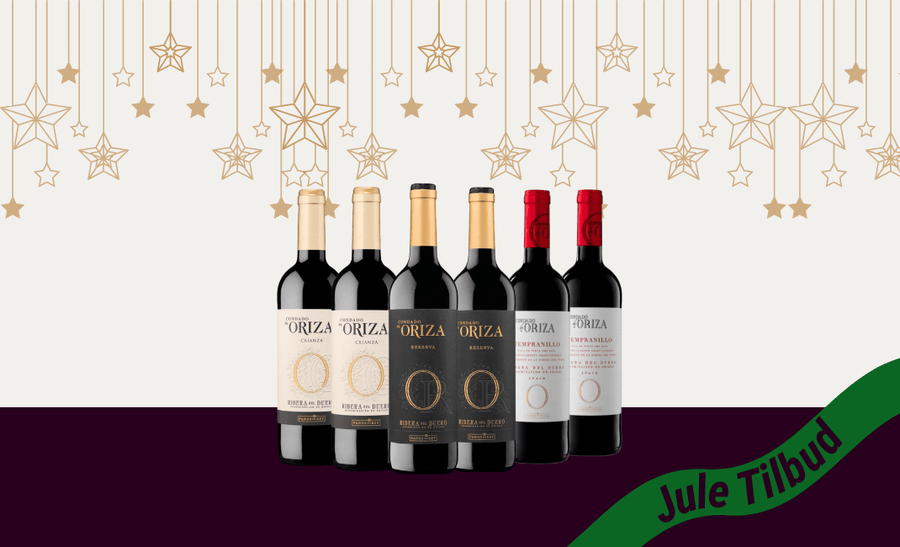 Den Sidste Flaske Rødvins Smagekasse Condado De Oriza Kassen