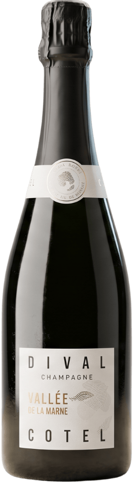 Dival Cotel Champagne Dival Cotel Champagne Brut Vallée de la Marne