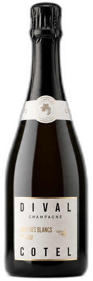 Divál Cotel Champagne Dival Cotel - Champagne Côte des Blanc 1er Cru
