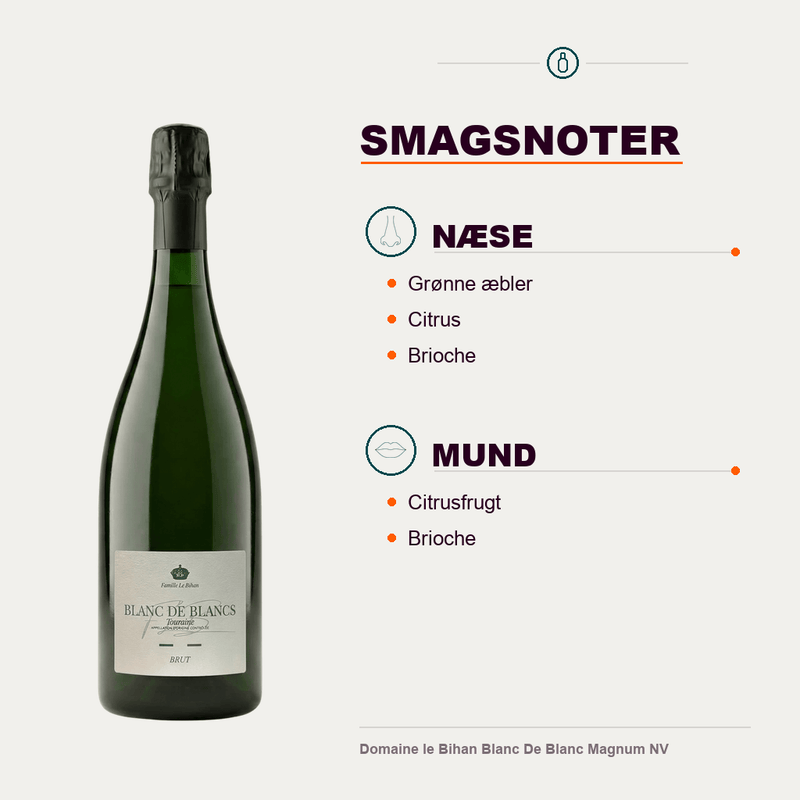 Domaine le Bihan Mousserende Domaine le Bihan Blanc De Blanc Magnum NV