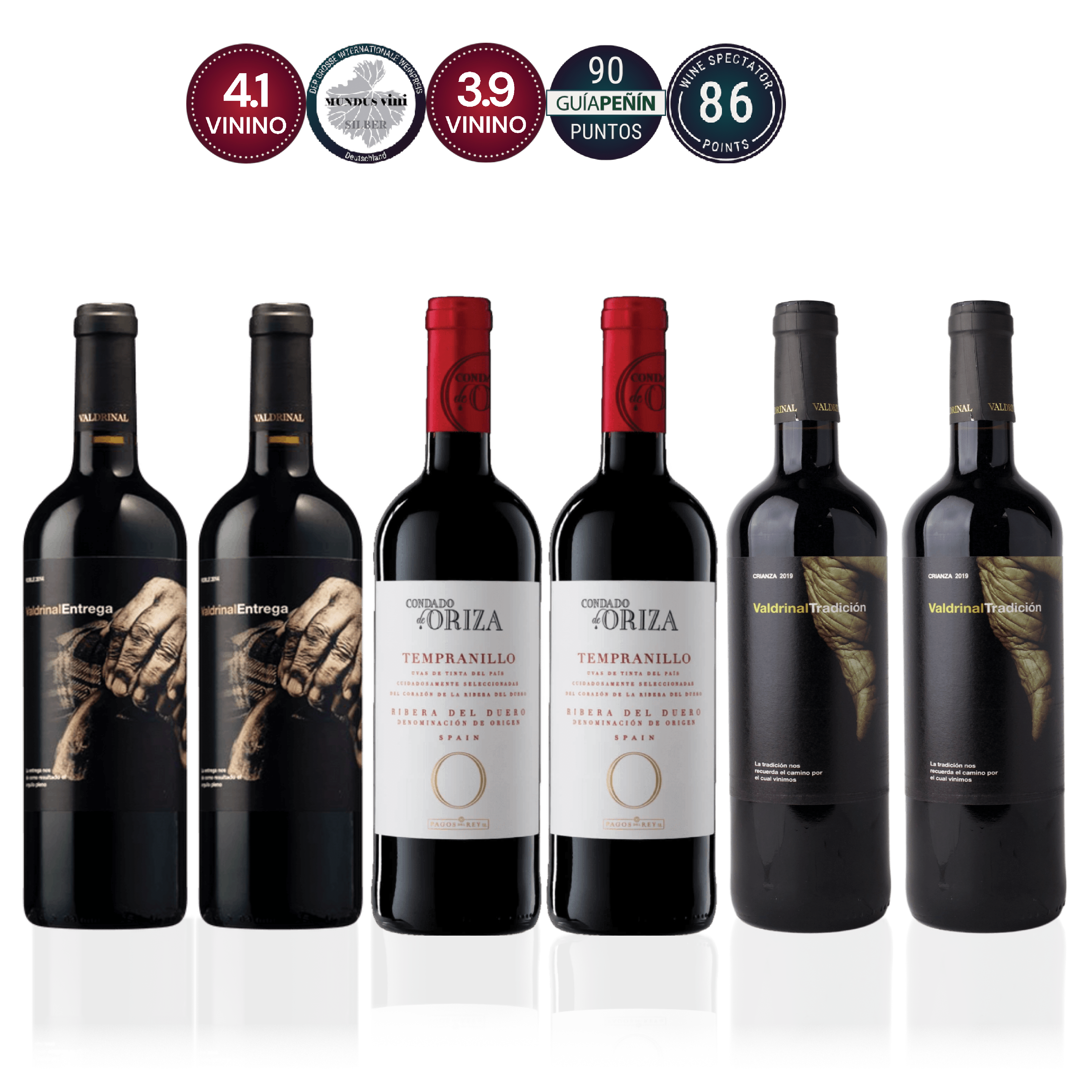 Den Sidste Flaske Smagekasse Ribera del Duero Kassen DSF Smagsrejse