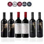 Den Sidste Flaske Smagekasse Ribera del Duero Kassen DSF Smagsrejse