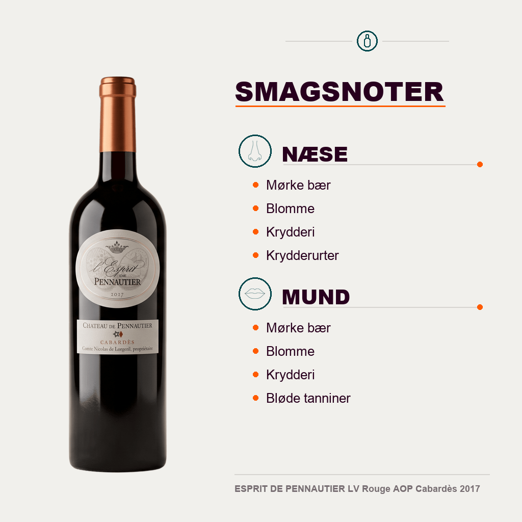 Château de Pennautier Rødvin ESPRIT DE PENNAUTIER LV Rouge AOP Cabardès 2017