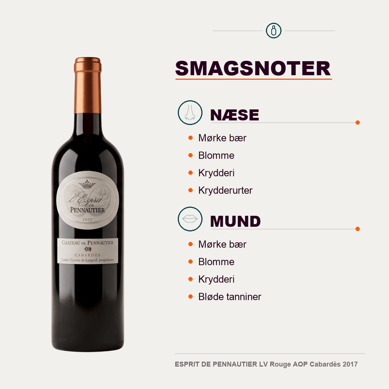 Château de Pennautier Rødvin ESPRIT DE PENNAUTIER LV Rouge AOP Cabardès 2017
