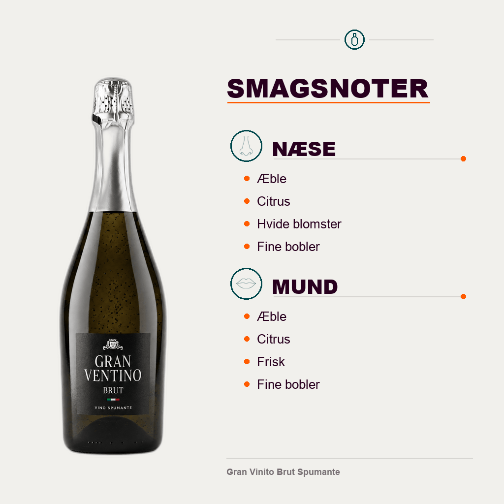 Gran Vinito champagne Gran Vinito Brut Spumante