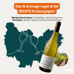 Den Sidste Flaske Mixed Smagekasse Hvid Bourgogne Kassen (6 fl.)