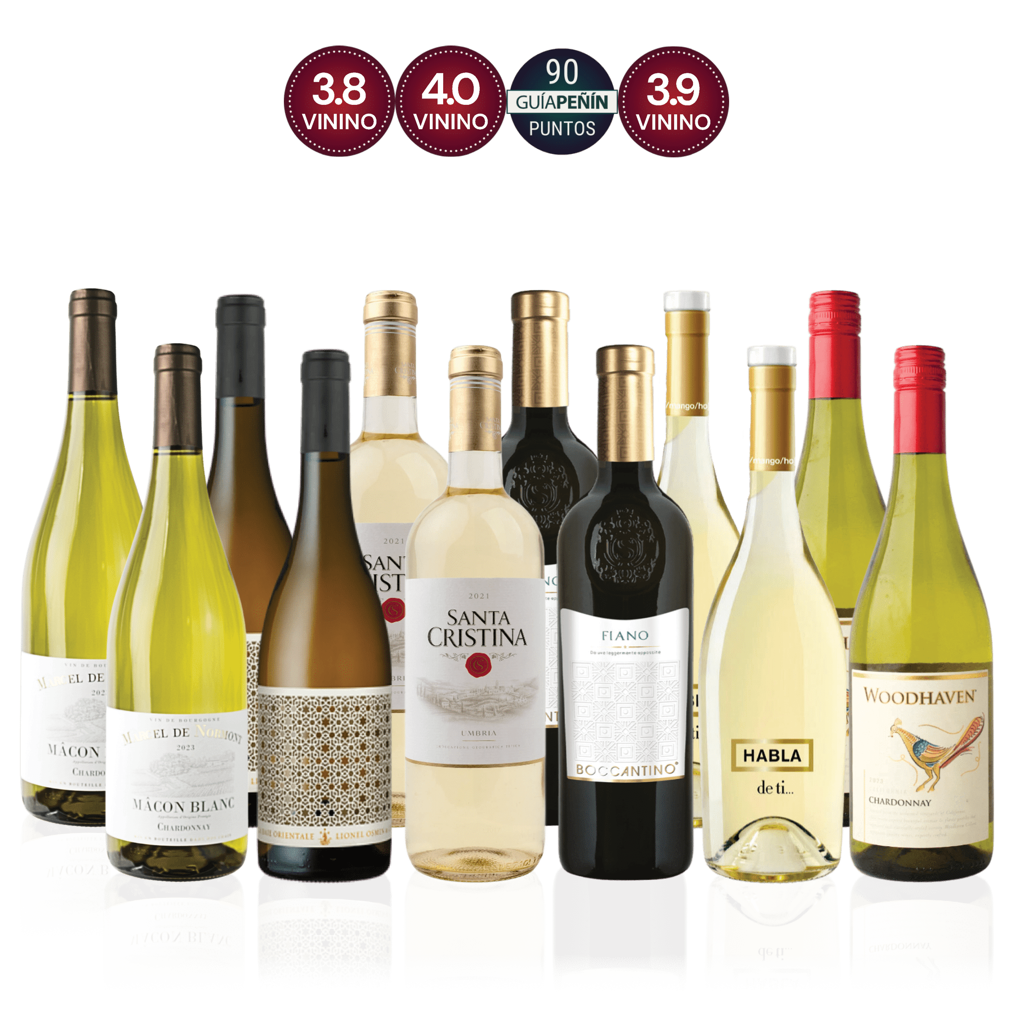 Den Sidste Flaske Hvidvins Smagekasse Hvidvin til Tapas & Småretter - Premium (12 fl.)