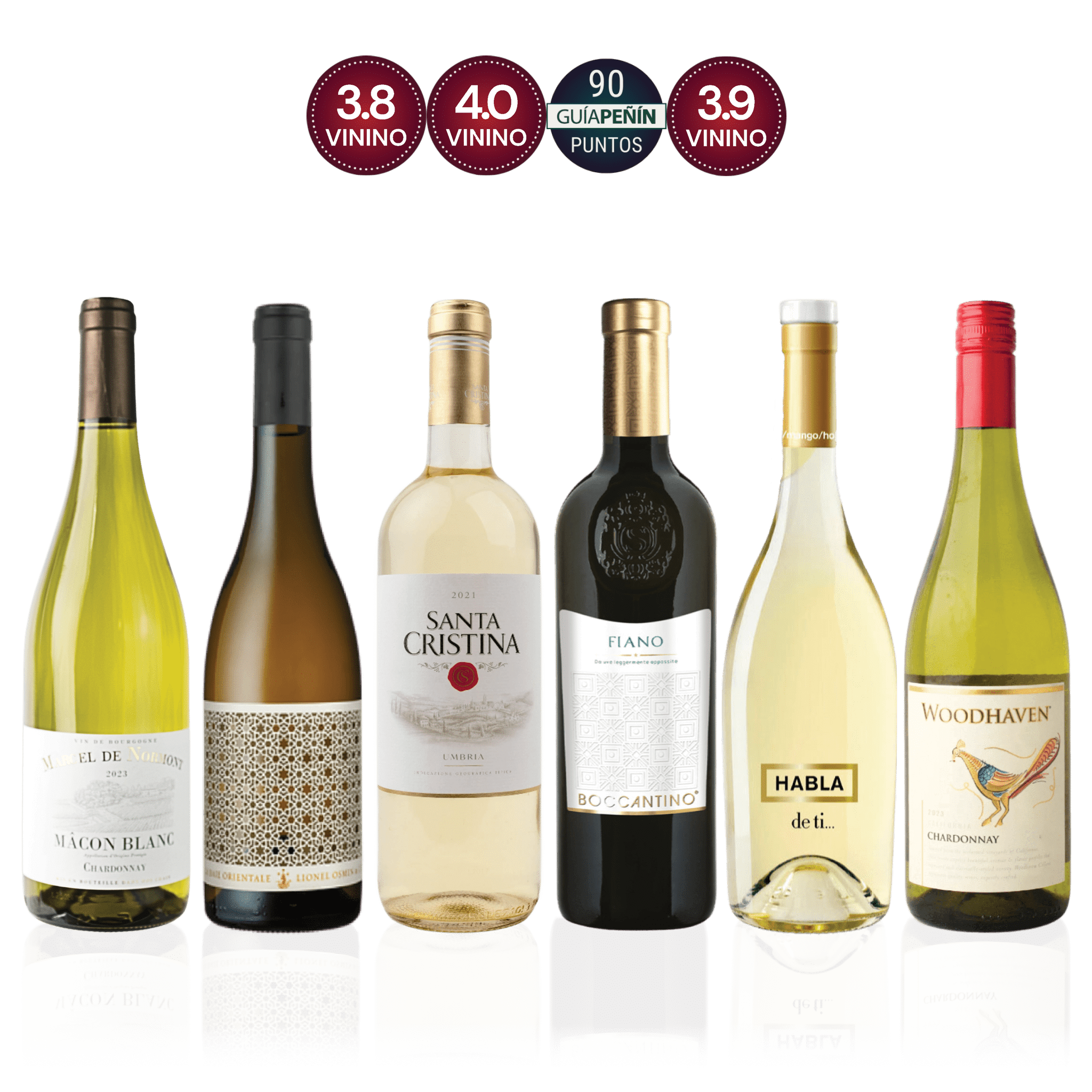 Den Sidste Flaske Hvidvins Smagekasse Hvidvin til Tapas & Småretter - Premium (6 fl.)