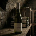 Maison Delacroix Hvidvin Maison Delacroix Bourgogne Chardonnay 2024