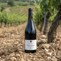 Marillier Pere & Fils Rødvin Marillier Pere & Fils IGP Pinot Noir 2024