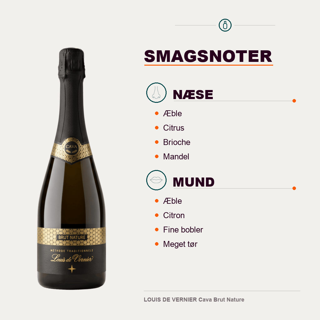 Josep Masachs Cava LOUIS DE VERNIER Cava Brut Nature