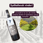 Luccarelli Rødvin Luccarelli Retro Primitivo Puglia MAGNUM 2021