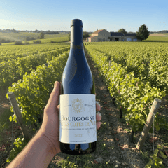 Maison Des Voutes Rødvin Maison Des Voutes Hautes Côte De Nuits 2023