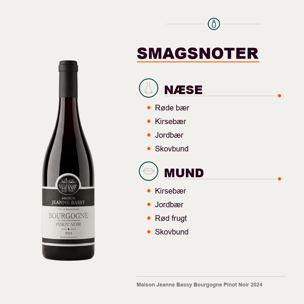 Maison Jeanne Bassy Rødvin Maison Jeanne Bassy Bourgogne Pinot Noir 2024