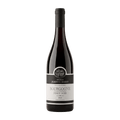 Maison Jeanne Bassy Rødvin Maison Jeanne Bassy Bourgogne Pinot Noir 2024