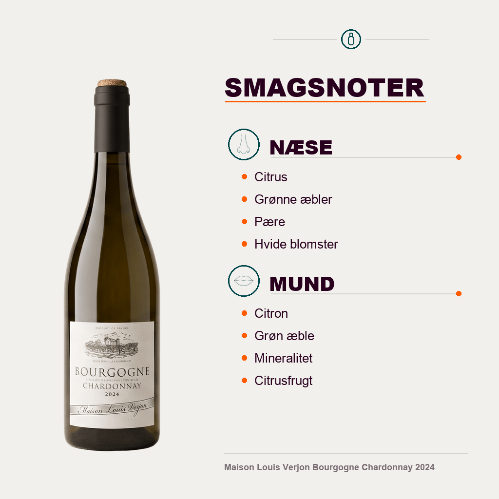 Maison Louis Verjon Hvidvin Maison Louis Verjon Bourgogne Chardonnay 2024