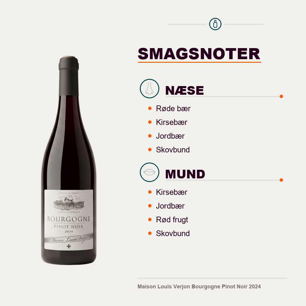 Maison Louis Verjon Rødvin Maison Louis Verjon Bourgogne Pinot Noir 2024
