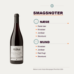 Maison Louis Verjon Rødvin Maison Louis Verjon Bourgogne Pinot Noir 2024