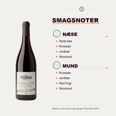 Maison Louis Verjon Rødvin Maison Louis Verjon Bourgogne Pinot Noir 2024